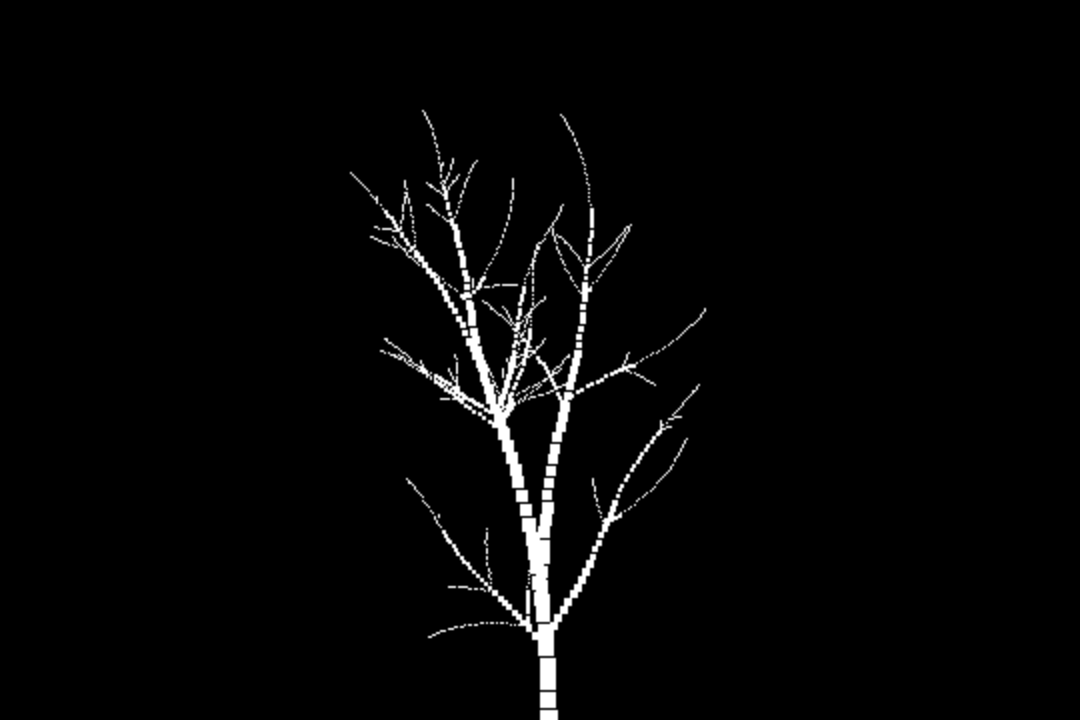Randomly generated fractal tree of black dots on a white canvas to demonstrate running a drawing function step by step on each animation frame