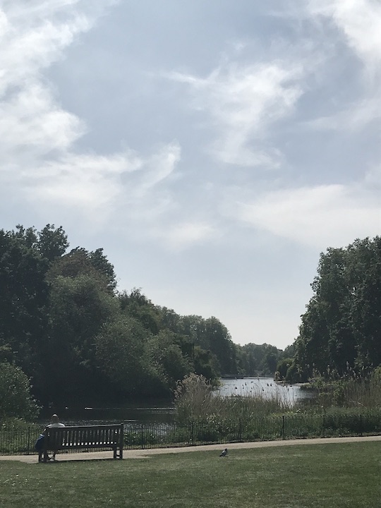 Man sitting edge on a St James's Park bench looking at the lake next to a pigeon